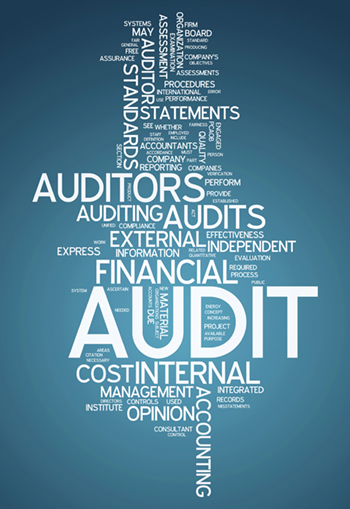 Financial Auditing word cloud