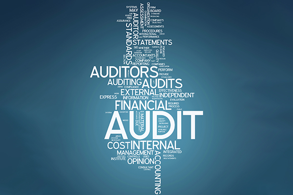 Financial Auditing word cloud